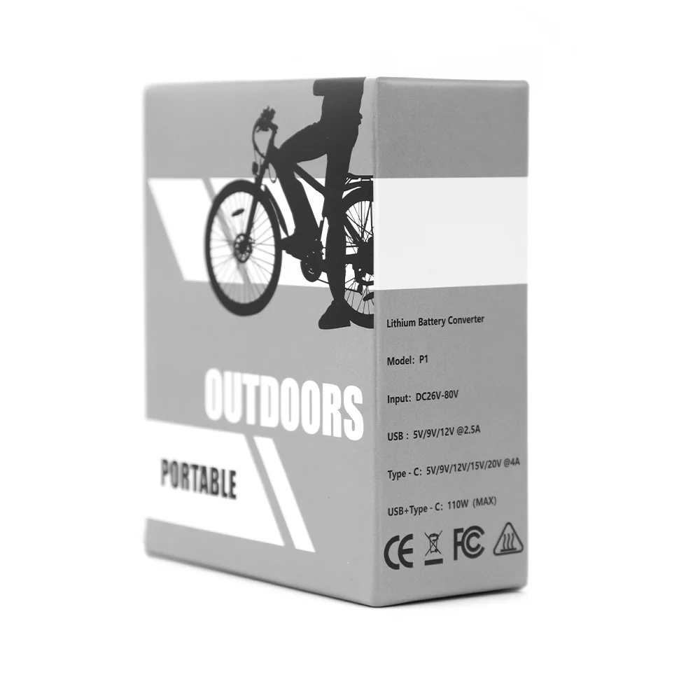 DUOTTS Battery Converter - Image 10